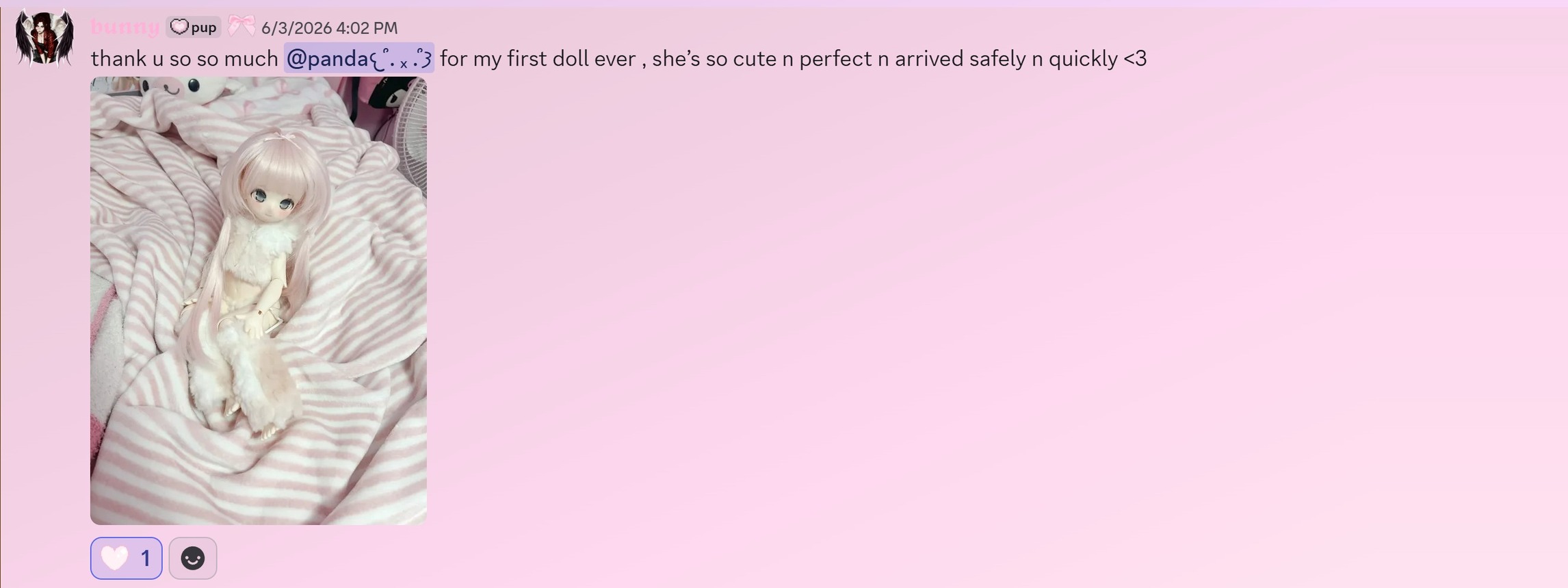 Customer review 5