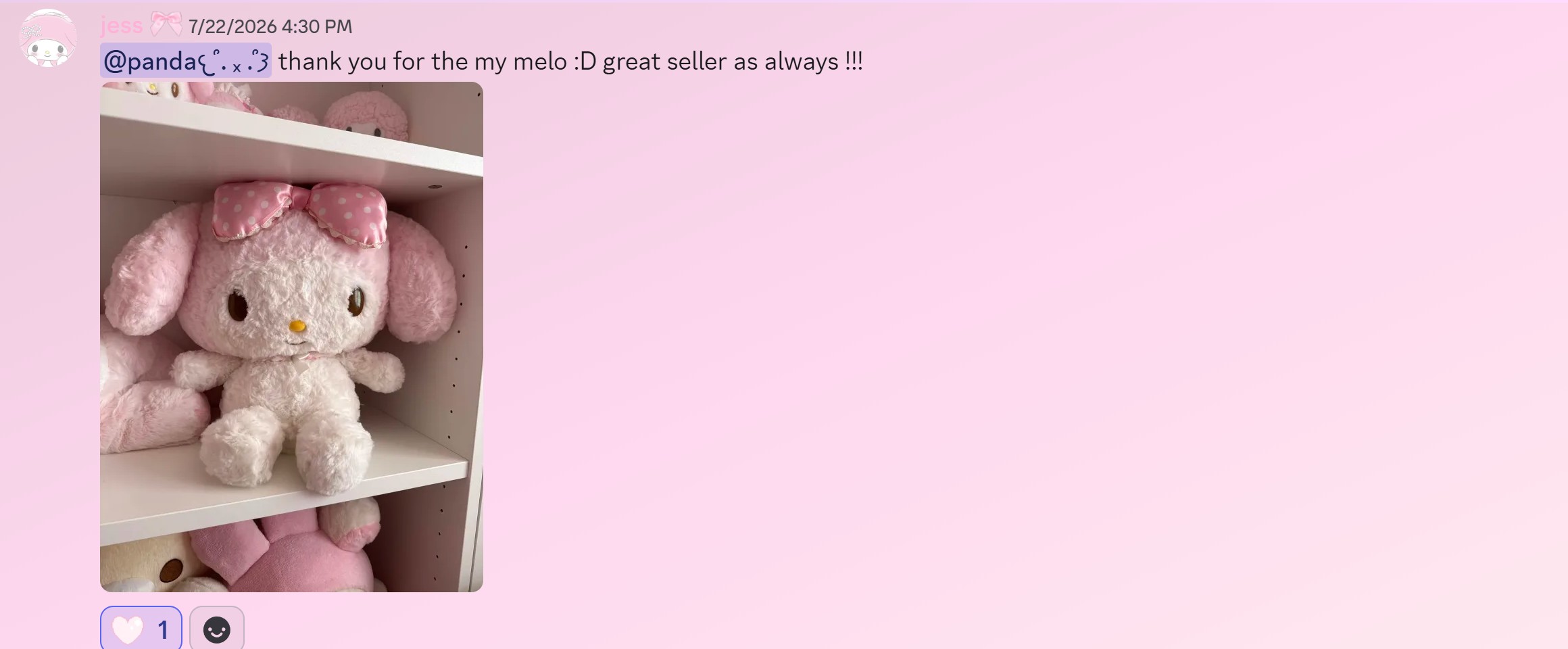 Customer review 17